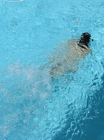 "Here's an asshole taking a fucking dip in some goddamn pool."