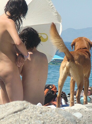Nude Girls on the Beach - 227 - Part 1 - Photo 22