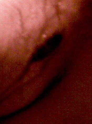 fille a papa abuse - Photo 111