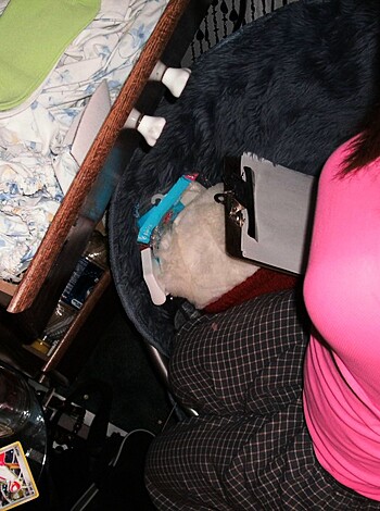 Here's a limiter: "In this picture, a fat bitch is chillin' in her shitty ass apartment."