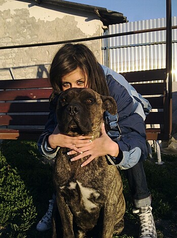 belle petite copine - Photo 44