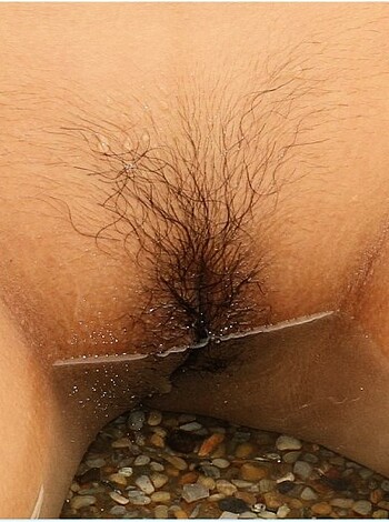 A fucking vagina of a wet bitch.