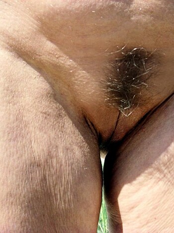 "Here's an explicit and graphic photo of a dick."