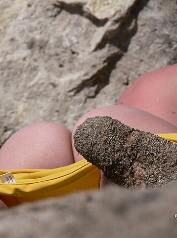 Nude Girls on the Beach - 309 - Photo 13