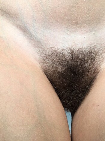 Here's a picture of a shaved pussy with a hairy ass and dick, all for you to see.