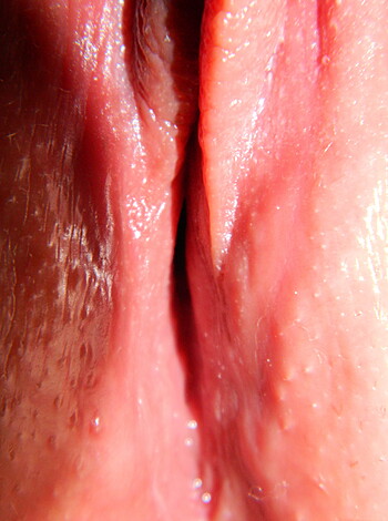 Shorthaired Wife shows her Pussy - Photo 14