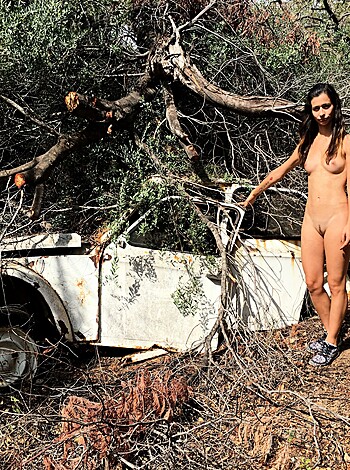 "A fucked up car and a naked bitch."